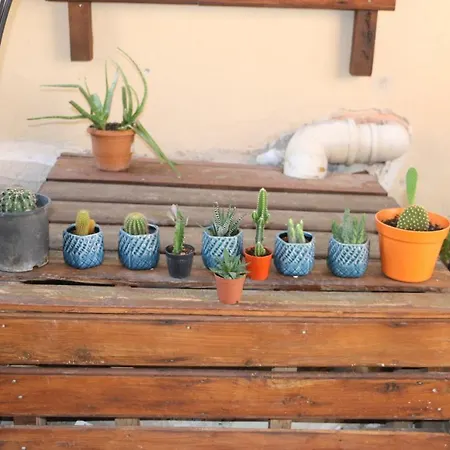 La Casa Carina Nocleg ze śniadaniem 2*